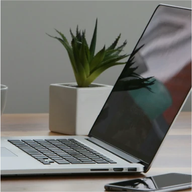 Online Bill Pay